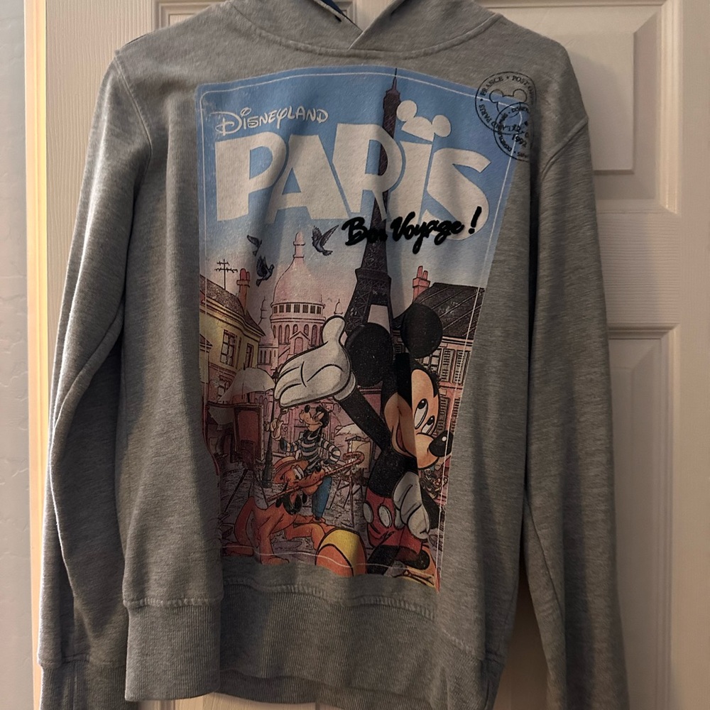 Disneyland Paris hoodie